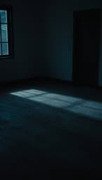 Shadowed Heart