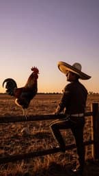 El Saludo del Gallo