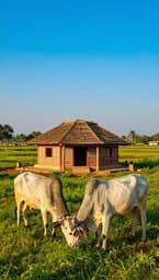 Gausala Shree Nirmal Daas