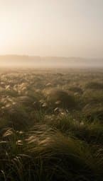 Wild Wind