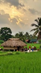 সোমি তর মারে