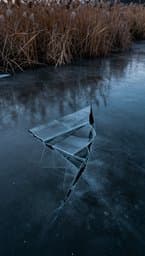 Vanished Ice