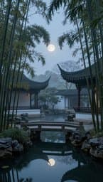 Silent Bamboo Grove