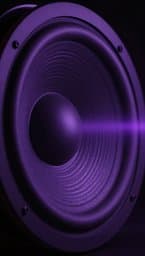 Subwoofer Shatter