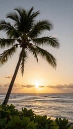 Trade Winds
