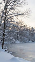 Winter's Embrace