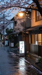 Tokyo Rainy Afternoon