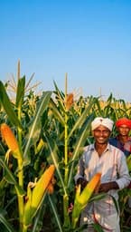 अवतार 221