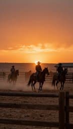 Desert Rodeo