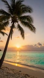 Island Breeze