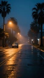 Midnight Drive