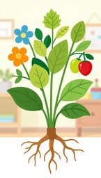 Life And Fruit