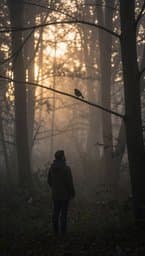 Unspooled Morning
