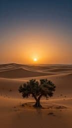 Desert Mirage