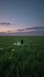 Lucid Longing