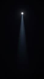 Silent Void