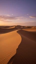 Desert Winds of D Minor