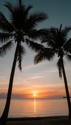 Island Breeze