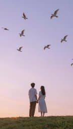 Birds Fly
