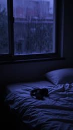 Love, Sex, Emotion