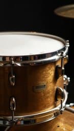 Cadence Snare