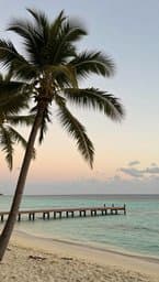 Island Reggae Vibes