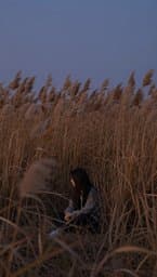 Whispered Winds