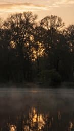 Evening Serenity