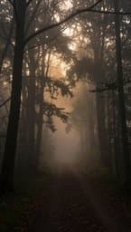 Silent Reverie