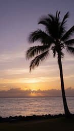 Sunset Chill