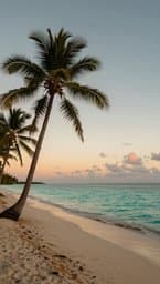 Island Breeze