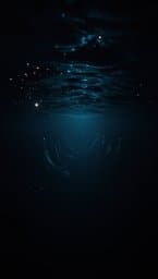 The Bloop