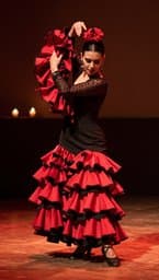 Fuego Andaluz