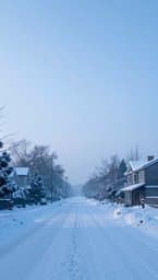 Winter Dawn Solitude