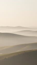 Quietude