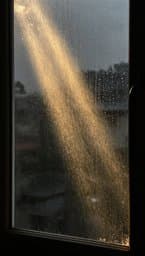 Sunshine Through the Rain