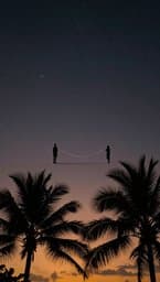 Night's Aura