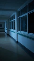 Silent Corridor