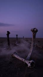 The Unburied Wailing