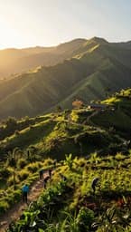 Tangua Sunrise
