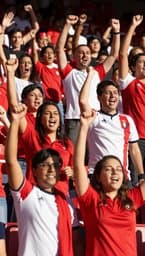 Genuine Osasuna