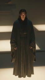 Cunning Shadow