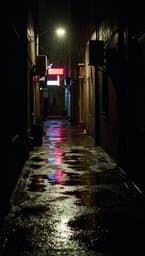 Noir Shadows
