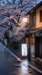 Tokyo Rainy Afternoon