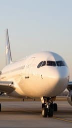 Silver Wing