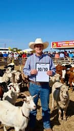 Judging Day