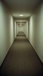 Carpeted Void