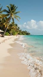 Jamaican Sunshine