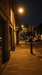 Soonce Nights