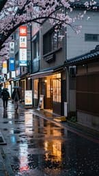 Tokyo Rainy Afternoon
